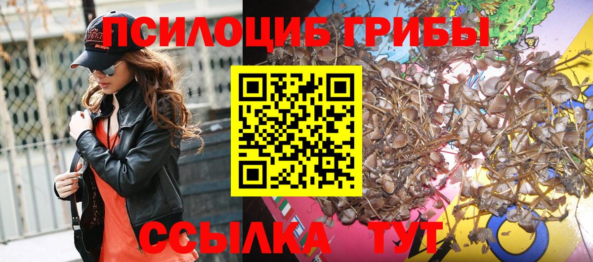 Псилоцибиновые грибы мухоморы Белая Калитва