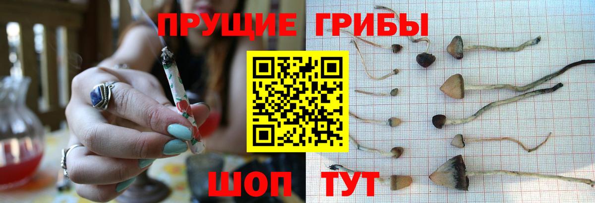 Белая Калитва  Галлюциногенные грибы прущие грибы  Вход с VPN 